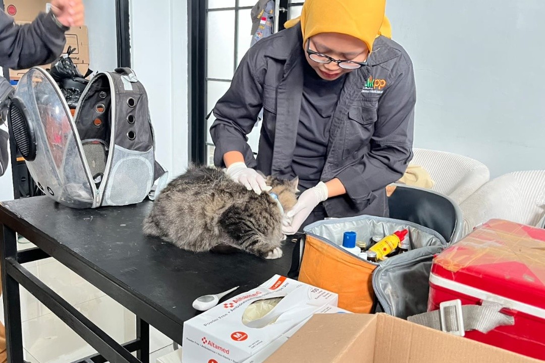 Pelaksanaan program Bangsawan di Kelurahan Ciumbuleuit, Kecamatan Cidadap, Kota Bandung, Jawa Barat. Foto: dokumentasi