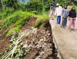 Diguyur Hujan Deras Jalan Poros Desa Cening Amblas 100 Meter