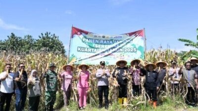 Wali Kota dan Wakil Wali Kota Banjar beserta Kapolres berfoto bersama para petani saat kegiatan Panen Raya Jagung Serentak Kuartal IV Tahun 2025, yang digelar di Kebun Jagung Blok Bantaran, Desa Raharja, Kecamatan Purwaharja. Kamis (8/1/2026). Foto: dokumentasi