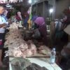 Permintaan Dapur MBG Meningkat, Harga Daging Ayam Naik
