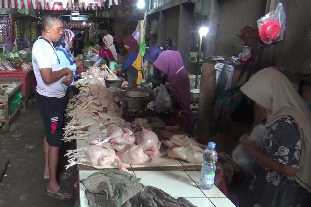 Penjual daging ayam di Pasar Kendal, Jawa Tengah. Foto: Yoedhi/Lingkar.co