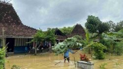 BPBD Pati: 19 Kecamatan Terdampak Bencana Hidrometeorologi, Pati Kota Paling Parah