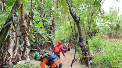Basarnas lakukan pencairan bocah lima tahun di anak Sungai Perak. (dok Basarnas Semarang)