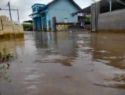 Dikepung Sungai dan Rob, Banjir Tunggulsari Pati Tak Kunjung Surut, Aktivitas Warga Lumpuh