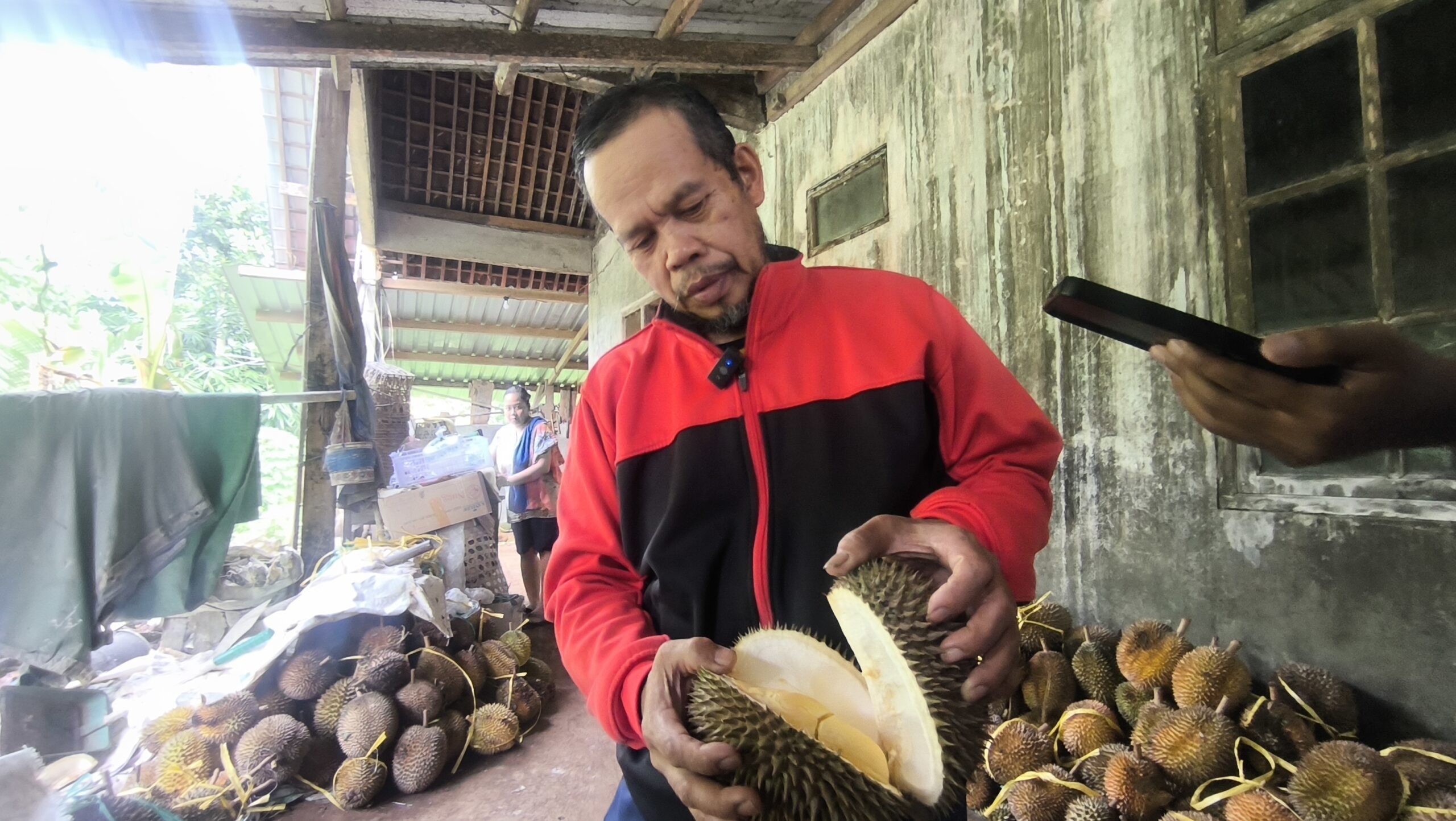 Pemilik kebun durian di Watusari, Suparyanto atau yang akrab disapa Pak Robert. (dok Alan Henry)