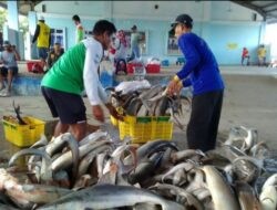 Hanya Empat TPI Masih Aktif di Pati, DKP Ungkap Penyebabnya