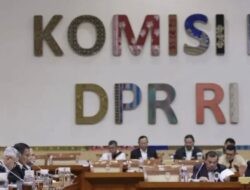 BNN Sulap Ladang Ganja di Gayo Lues Jadi Kebun Kopi