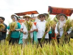 Panen Padi di Pati Lampaui Target 10 Ton per Hektare