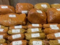 Polisi Bongkar Peredaran 9,4 Kg Ganja di Jakarta Timur