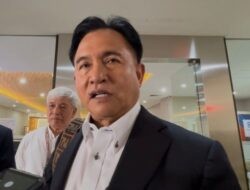 Yusril Pertimbangkan Skema Bebas Visa Timbal Balik dengan UEA