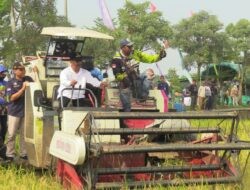 Panen Raya Mojorembun Rembang, Petani Kantongi Untung Rp30 Juta per Hektare