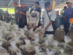 Dampak Cuaca Ekstrem, Produksi Ikan Masih Dibawah Target Bulanan
