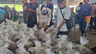 Suasana di salah satu TPI di kabupaten Pemalang Jawa Tengah. Foto: istimewa