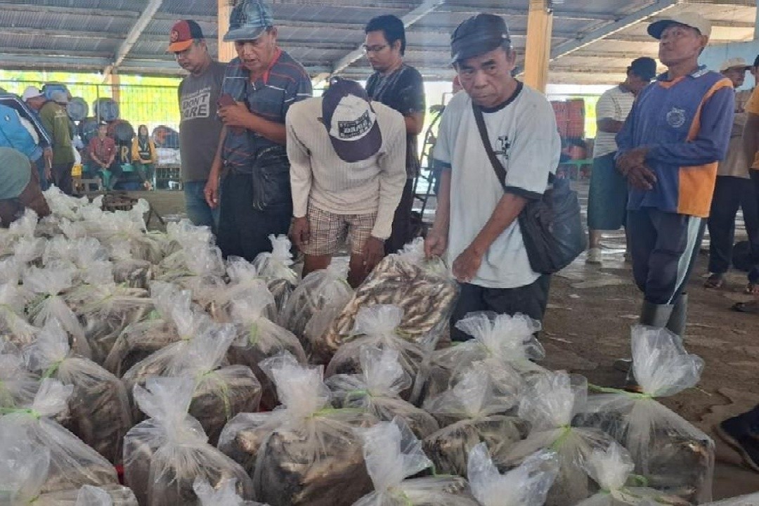 Suasana di salah satu TPI di kabupaten Pemalang Jawa Tengah. Foto: istimewa