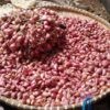 Harga Bawang Merah Anjlok Jelang , Petani Kendal Bertahan di Tengah Kerugian
