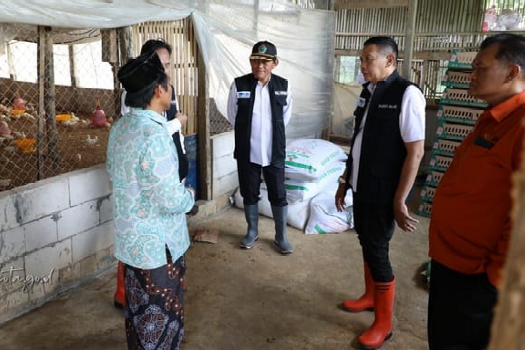 Wali Kota Malang, Wahyu Hidayat didampingi Kepala KPw BI Malang, Kepala BPS Kota Malang, dan Kadispangtan Kota Malang berdialog dengan pemilik peternakan ayam. Foto: dokumentasi