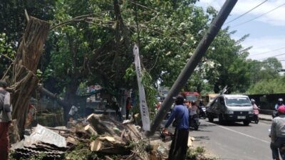 Pemkot Semarang lakukan penanganan pohon tumbang usai diterjang angin kencang. (dok Pemkot Semarang)