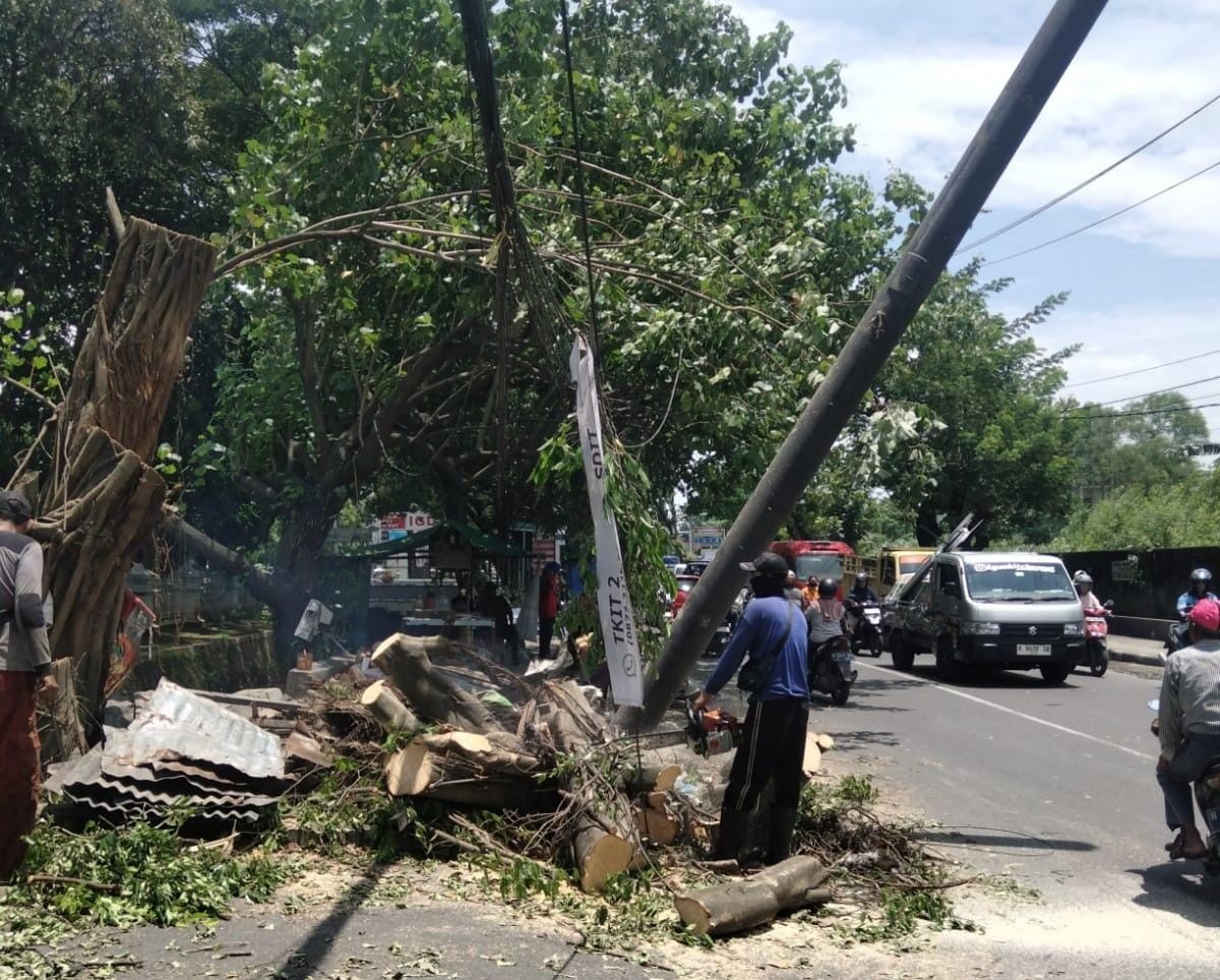 Pemkot Semarang lakukan penanganan pohon tumbang usai diterjang angin kencang. (dok Pemkot Semarang)