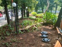 Semarang Bersih: Disperkim Tambah Tempat Sampah Pilah dan Komposter di Taman Kota