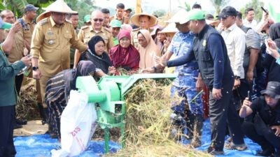 Bupati Bogor Rudy Susmanto saat menghadiri panen. Foto: dokumentasi