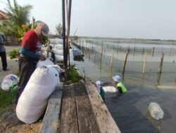 Dinilai Potensial, Dinas Kelautan dan Perikanan Kabupaten Kendal Dampingi Nelayan Budidaya Rumput Laut