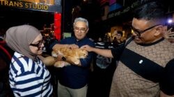 Shibuya Catwalk International Cat Show Cermin Ikatan Batin Hewan dan Pemilik