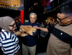 Shibuya Catwalk International Cat Show Cermin Ikatan Batin Hewan dan Pemilik