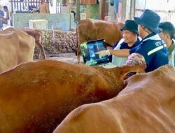 Dari Vaksinasi Hingga Healing, Layanan Kesehatan Hewan Gratis Pemprov Jateng Sasar Peternak Desa
