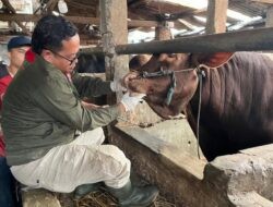 Inovasi Jelang Idul Adha, Pemkot Bandung Pasang Stiker Barcode Hewan Kurban