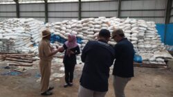 Jelang Musim Kemarau, Petani Garam Desa Kedungkarang Mulai Persiapkan Lahan Produksi