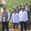 Dirut Perum Bulog Sambangi Petani TebuKabupaten Blora, Siap Tampung Panen Tebu Petani