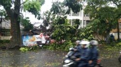 Hujan Deras Disertai Angin Melanda Kota Bandung Akibatkan 31 Pohon Tumbang, 2 baliho Roboh dan 1 Tanggul Jebol