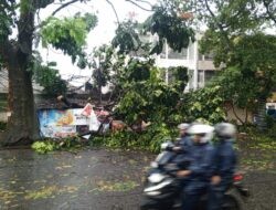 Hujan Deras Disertai Angin Melanda Kota Bandung Akibatkan 31 Pohon Tumbang, 2 baliho Roboh dan 1 Tanggul Jebol