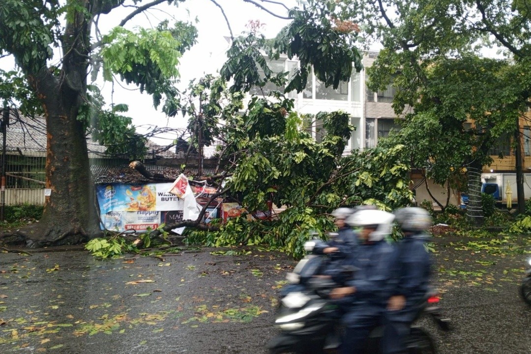 Hujan Deras Disertai Angin Melanda Kota Bandung Akibatkan 31 Pohon Tumbang, 2 baliho Roboh dan 1 Tanggul Jebol