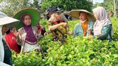 Bupati Kendal, Dyah Kartika Permansari bersama Kepala Dispertan Kendal saat kunjungan kerja ke Kelompok Tani Melati di Desa Gempolsewu, Selasa (7/4/2026). Foto: dokumentasi/istimewa