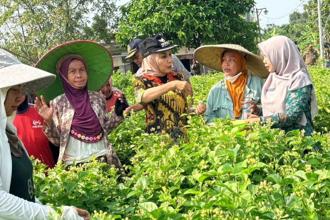 Bupati Kendal, Dyah Kartika Permansari bersama Kepala Dispertan Kendal saat kunjungan kerja ke Kelompok Tani Melati di Desa Gempolsewu, Selasa (7/4/2026). Foto: dokumentasi/istimewa