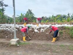 Respons Dampak Hujan Ekstrem di Wilayah Tembalang, Pemkot Semarang Gerak Cepat Perkuat Tanggul Kali Babon