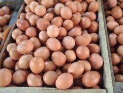 Update Harga Pangan Nasional: Telur Tembus Rp32.300/Kg, Cabai Rawit Merah Rp71.550/Kg