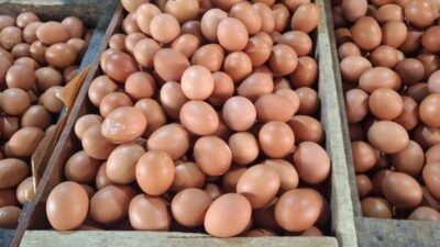 Update Harga Pangan Nasional: Telur Tembus Rp32.300/Kg, Cabai Rawit Merah Rp71.550/Kg