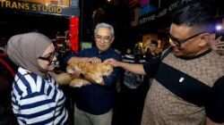 Shibuya Catwalk International Cat Show Cermin Ikatan Batin Hewan dan Pemilik