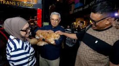 Shibuya-Catwalk-International-Cat-Show-Cermin-Ikatan-Batin-Hewan-dan-Pemilik