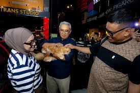 Shibuya-Catwalk-International-Cat-Show-Cermin-Ikatan-Batin-Hewan-dan-Pemilik