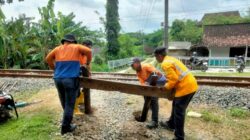 KAI Daop 4 Tutup 41 Perlintasan Liar, Langkah Tegas Tekan Kecelakaan