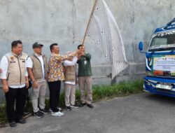 19 Ribu Ton Jagung Bantu Peternak Unggas di Kabupaten Kendal