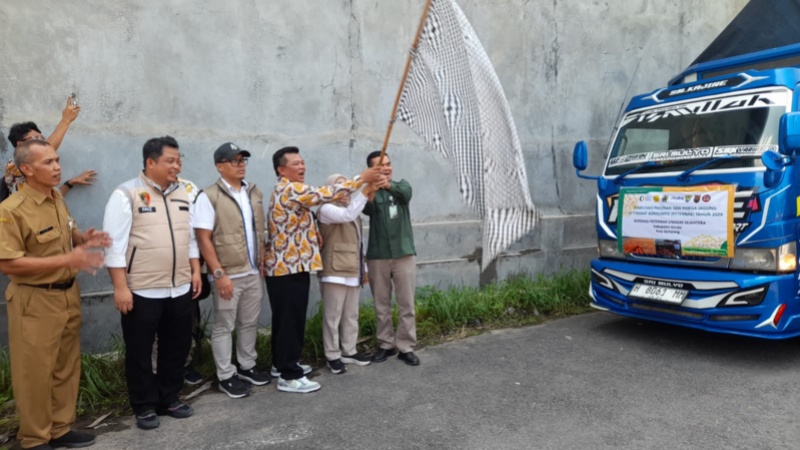 19 Ribu Ton Jagung Bantu Peternak Unggas di Kendal