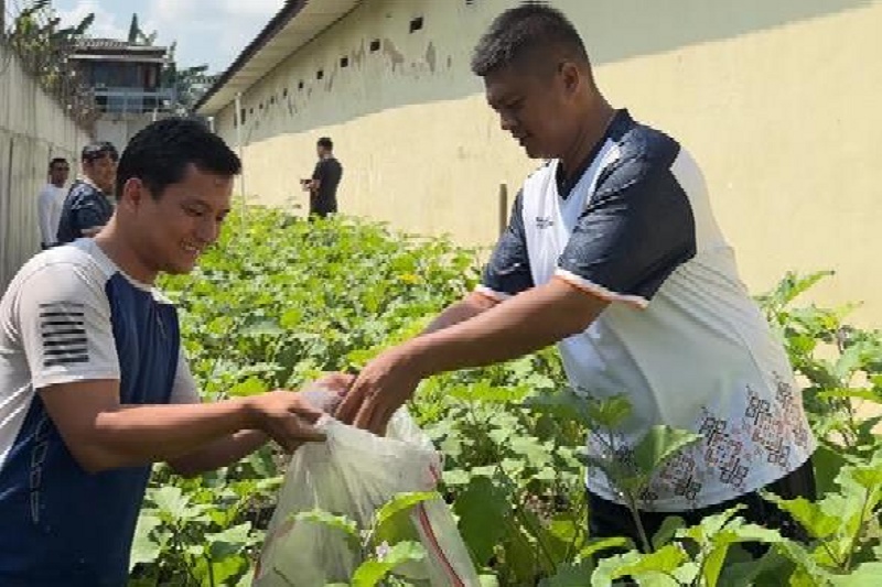 Panen Terong di Lahan Terbatas, Warga Binaan Purwodadi Diharapkan Dukung Program Ketahanan Pangan