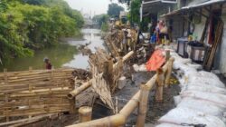 Gerak Cepat Tangani Tanggul Jebol Sungai Silandak, Penanganan Jangka Panjang Disiapkan
