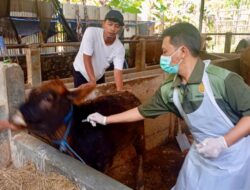Waspada Penyakit Hewan Jelang Iduladha, Jateng Perketat Pengawasan Ternak di Perbatasan