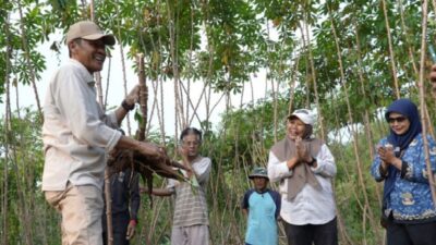 Penguatan Ketahanan Pangan Lokal, Lumbung Matraman Terapkan Pertanian Terpadu