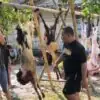 Jamaah Masjid At Taqwa Rowosari Kendal Antusias Berkurban, Sembelih 22 Sapi dan 15 Ekor Kambing